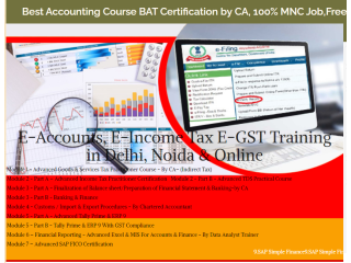 Online Accounting Course in Delhi, 110003, with Free SAP Finance FICO by SLA Consultants Institute